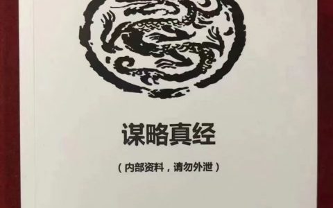 《谋略真经》PDF-大佬文集网